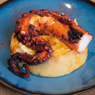 octopus